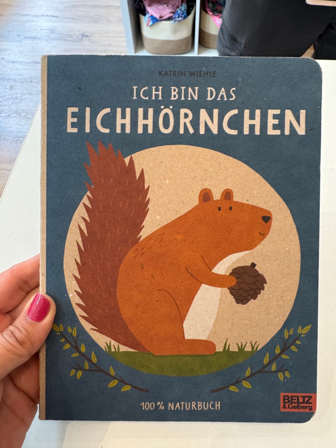 Buch "Ich bin das Eichhörnchen" | Beltz & Gelberg