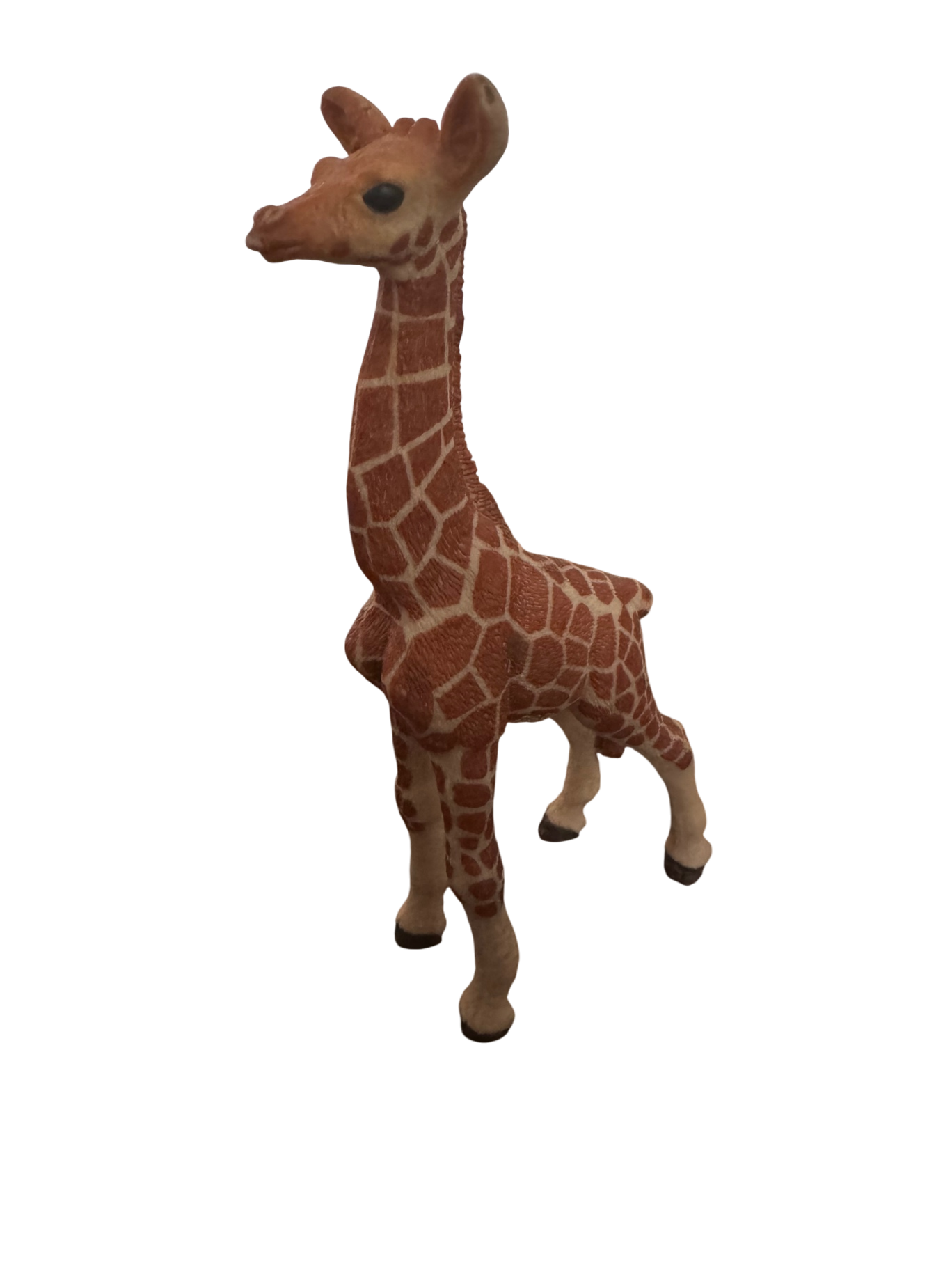 Spielzeug Giraffe | Schleich
