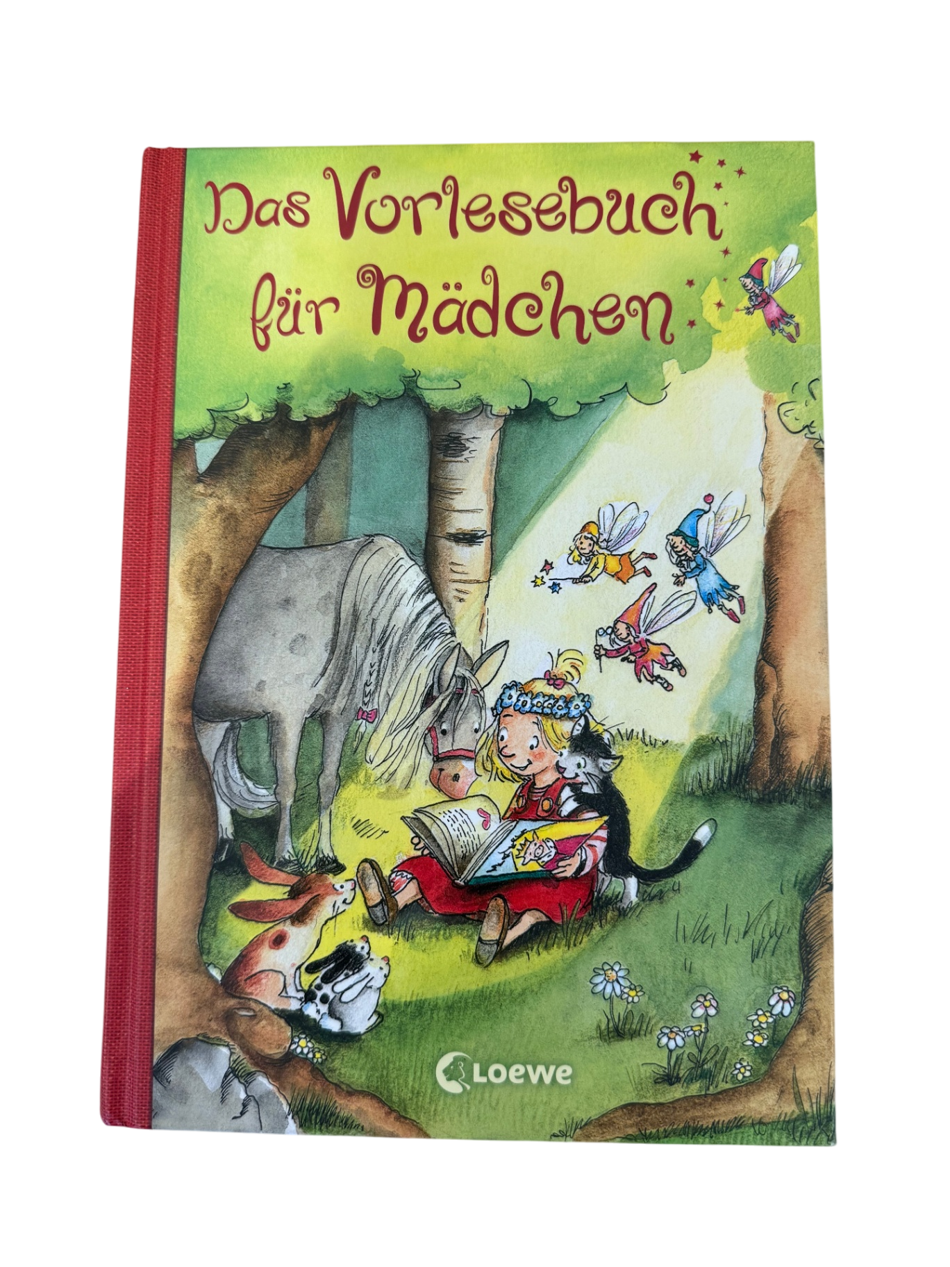 Buch "Das Vorlesebuch für Mädchen" | Loewe