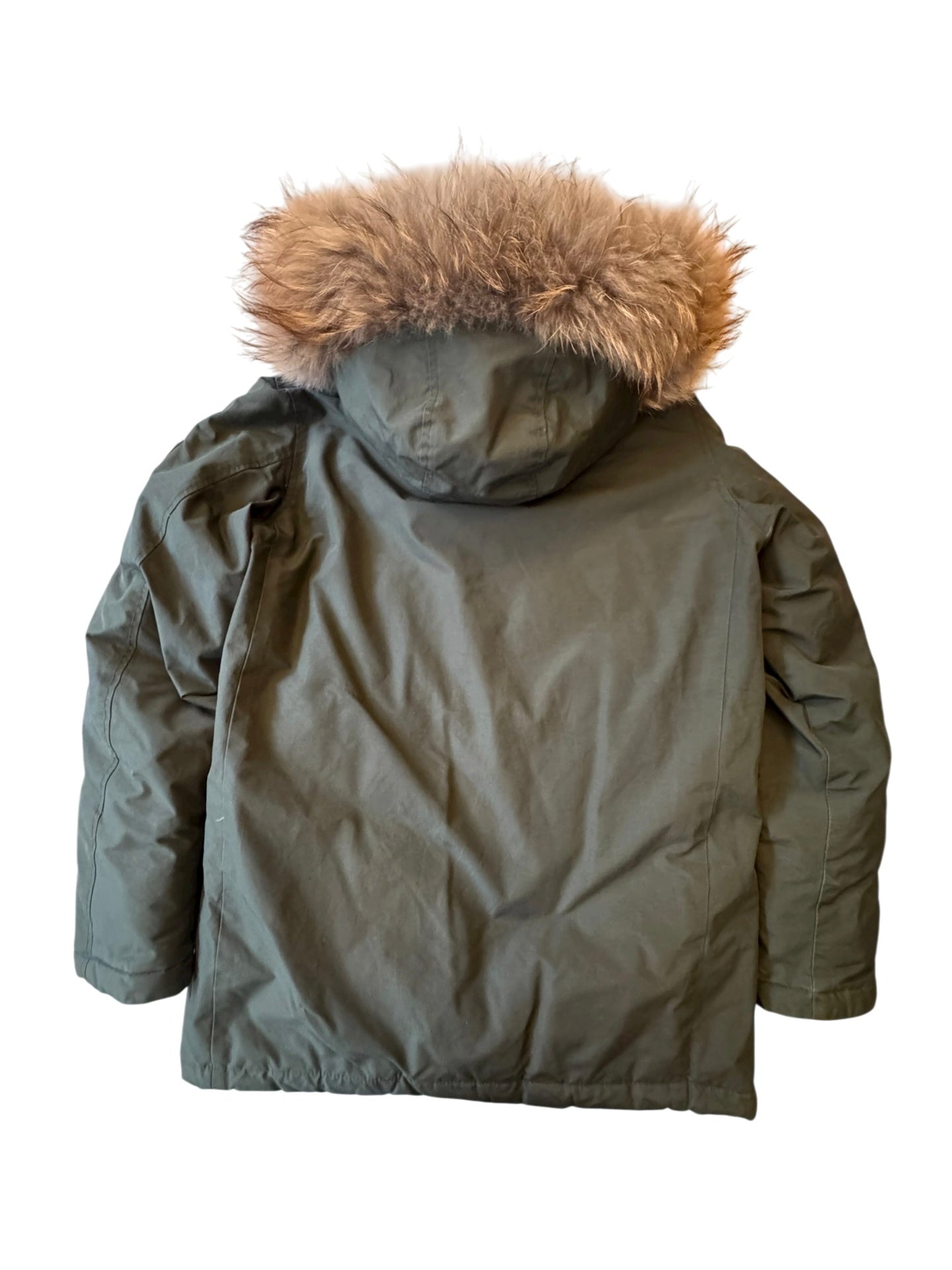 Artic Parka gefüttert Oliv Gr.12 | Woolrich