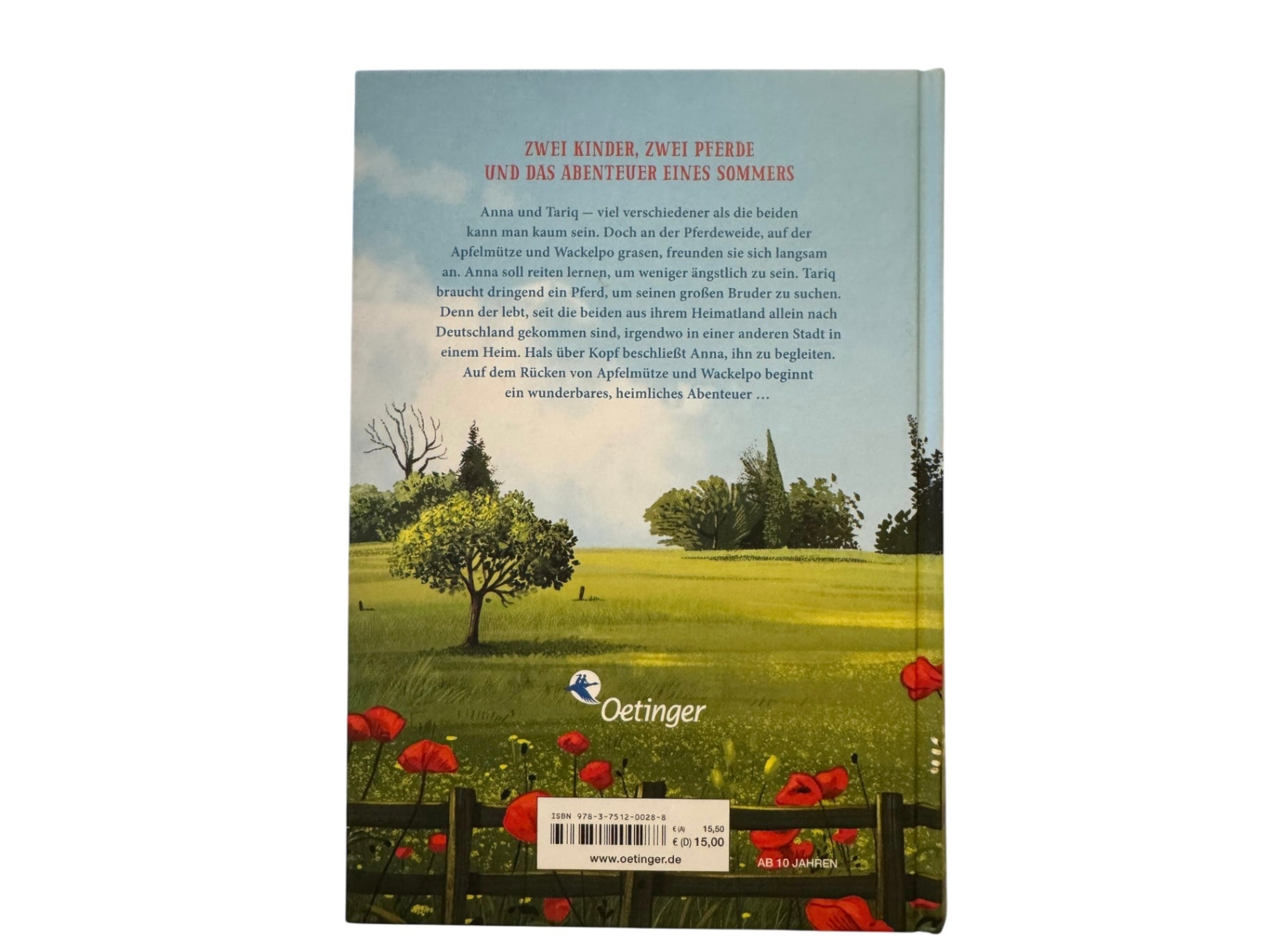 Buch "Manchmal muss man Pferde stehlen" Bunt mit vorherrschenden Blau- und Grüntönen Gr. | Oetinger