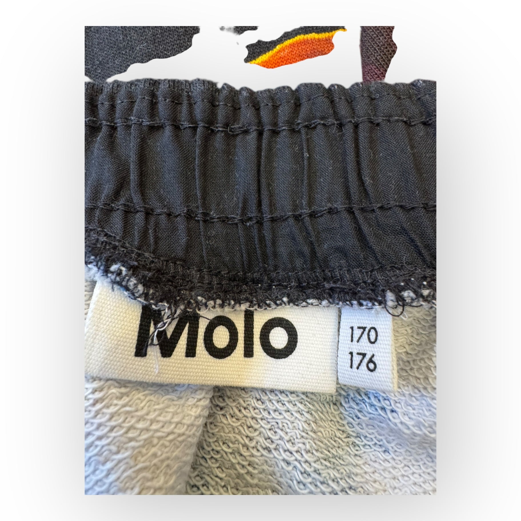 Teller-Rock mit Blumen-Print Gr.170 | MOLO