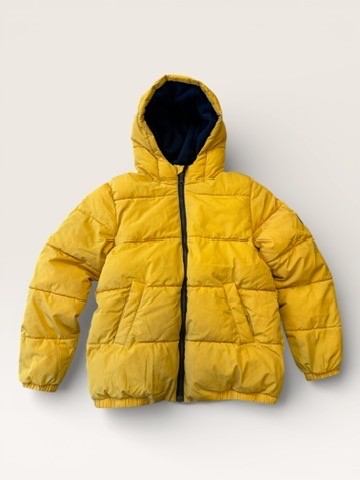 Jacke gefüttert Gelb Gr.146 | Petit Bateau