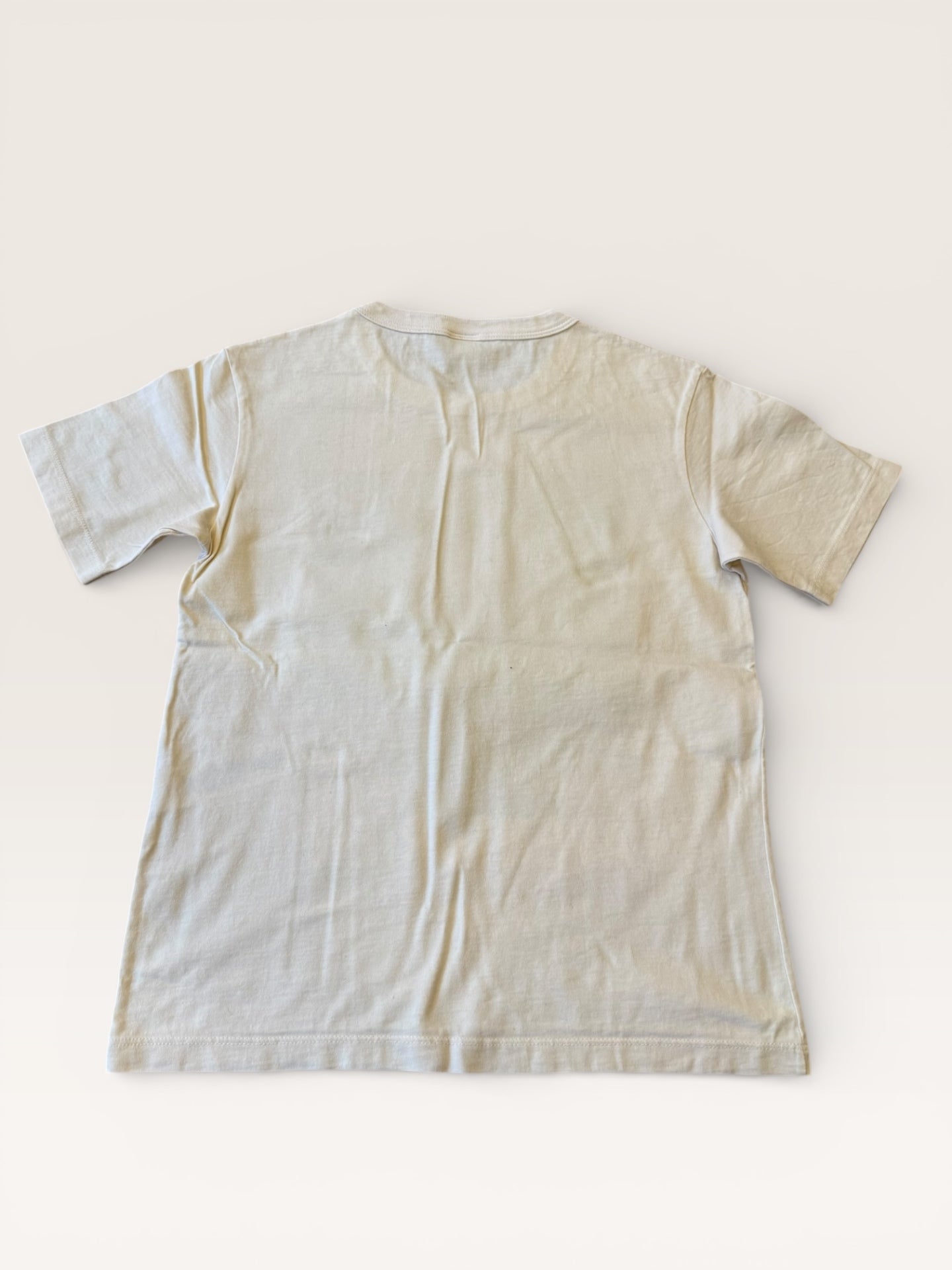 T-Shirt mit "Aventurier"-Motiv Gr.152 | Petit Bateau