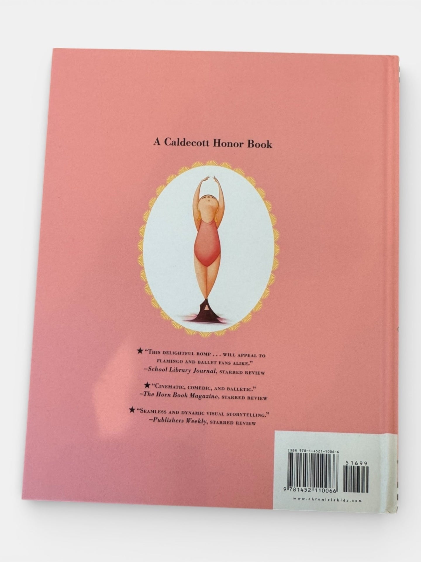Buch "Flora and the Flamingo" | Chronicle Books