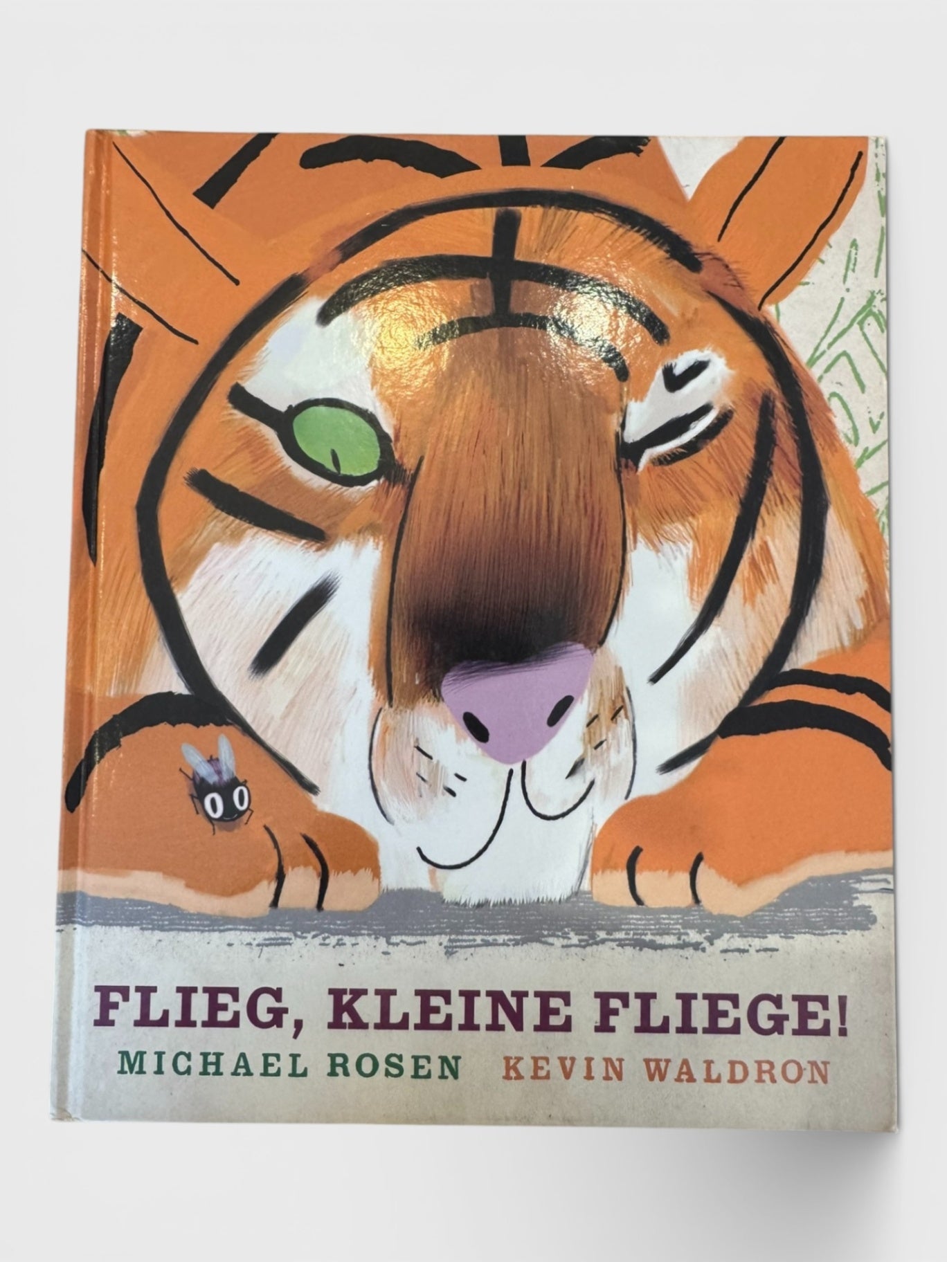 Bilderbuch „Flieg, kleine Fliege!“ | Freies Geistesleben