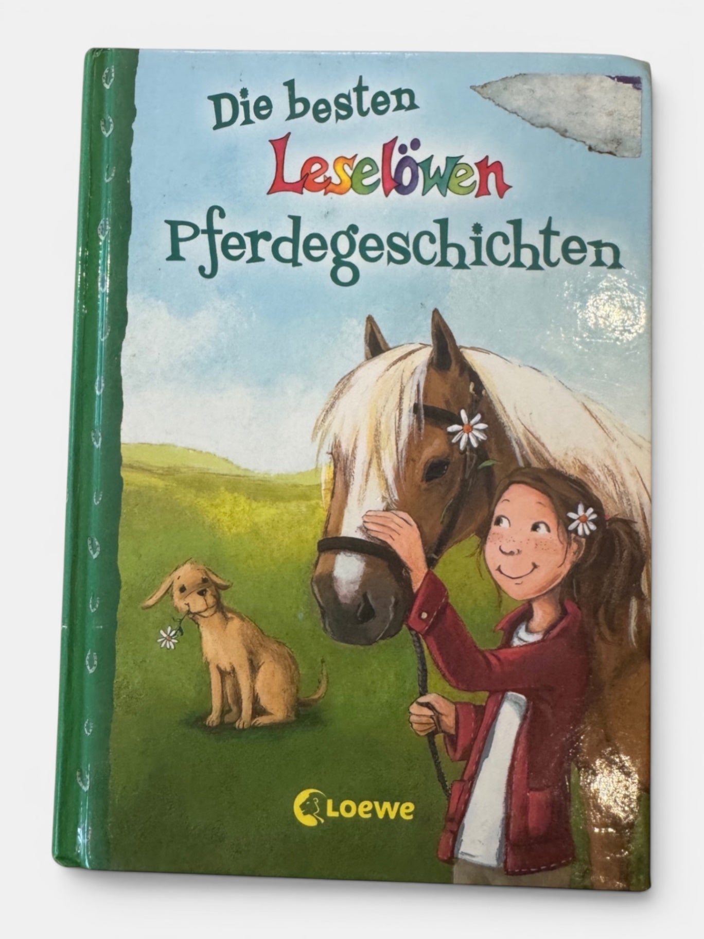 Buch "Die besten Leselöwen Pferde-Geschichten" Grün, bunt Gr. | Loewe