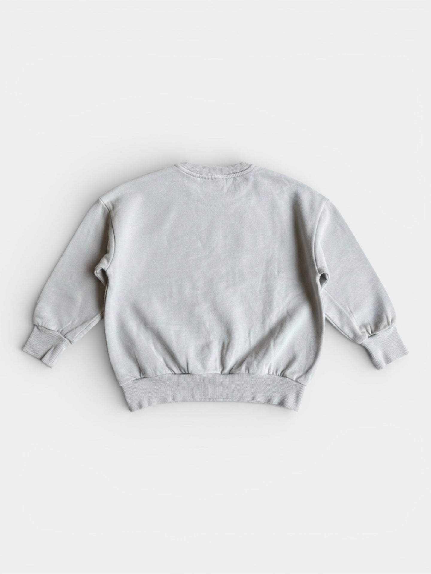 Sweatshirt Hellgrau Gr.116 | mini rodini