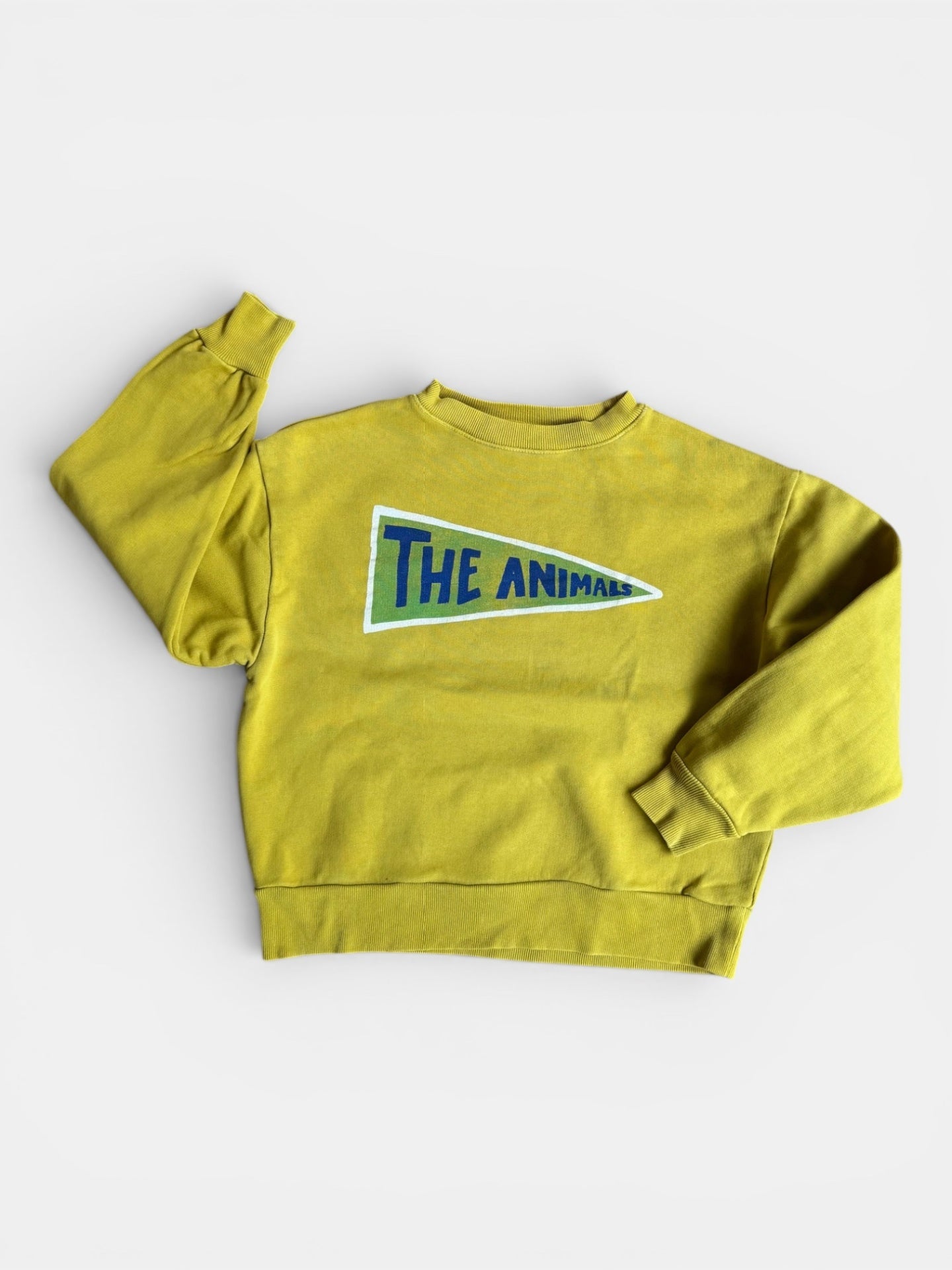 Sweatshirt Gelb Gr.116 | The Animals Observatory