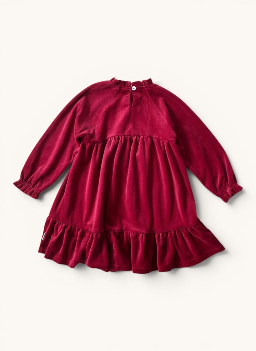 Samtiges Langarmkleid mit Stehkragen Beere Gr.110 | Hust and Claire