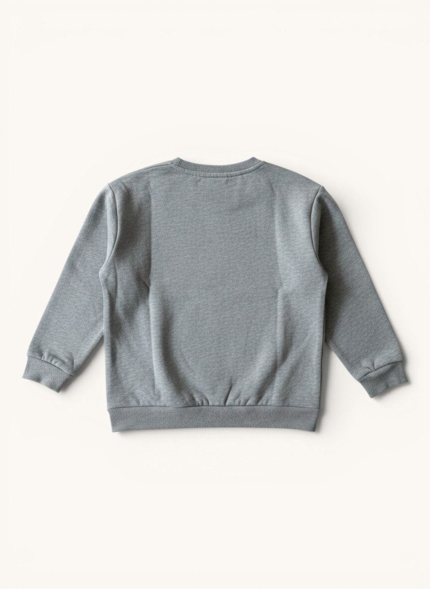 Graues Sweatshirt mit Katzen-Logo Gr.128/134 | Mini Rodini