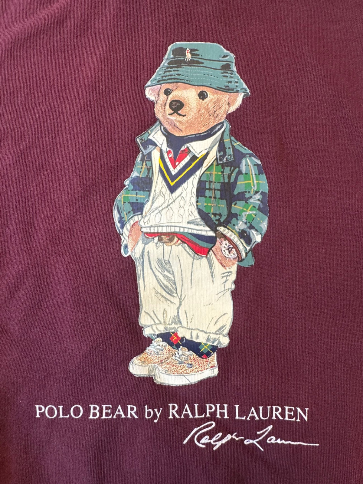 Colorblock Hoodie mit Polo Bear Gr.L/G (14-16) | Ralph Lauren
